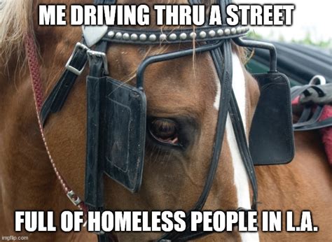 horse blinders Memes .